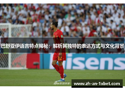 巴舒亚伊语言特点揭秘：解析其独特的表达方式与文化背景
