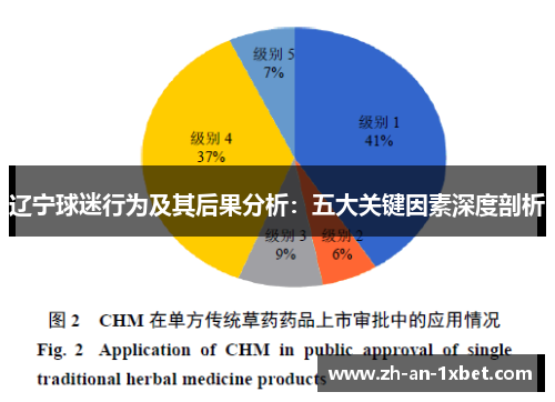 辽宁球迷行为及其后果分析：五大关键因素深度剖析