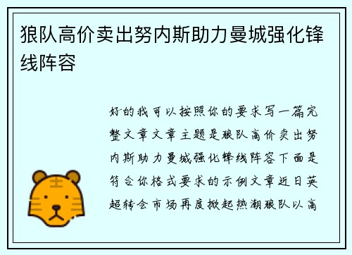 狼队高价卖出努内斯助力曼城强化锋线阵容