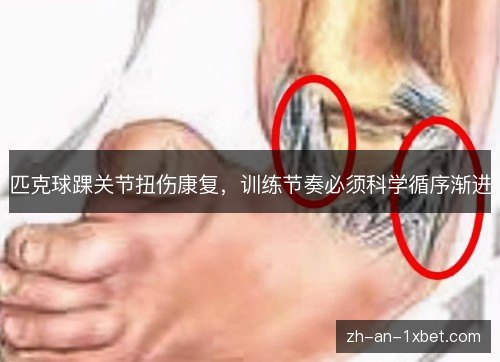 匹克球踝关节扭伤康复,训练节奏必须科学循序渐进 匹克球踝关节扭伤康复,训练节奏必须科学循序渐进